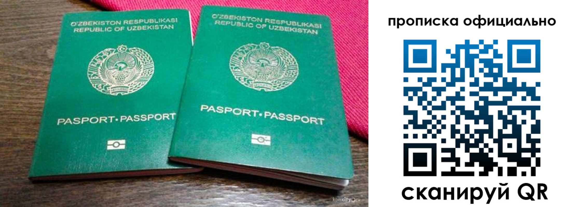 прописка для школы в Волгоградской области